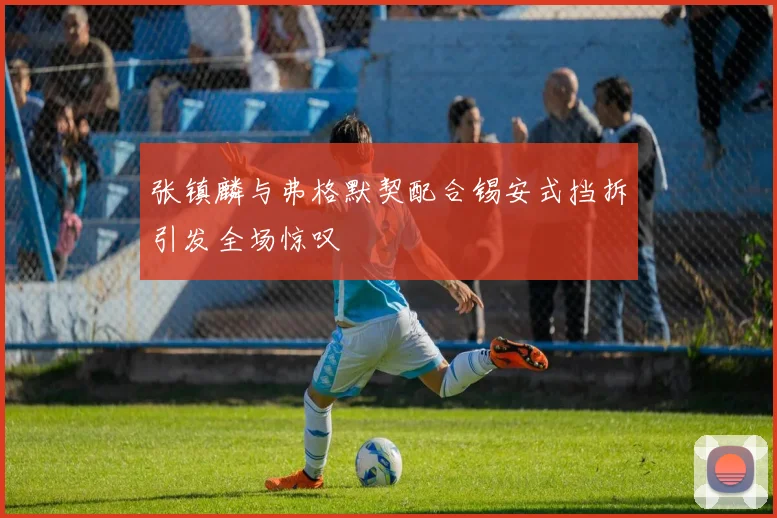 张镇麟与弗格默契配合锡安式挡拆引发全场惊叹