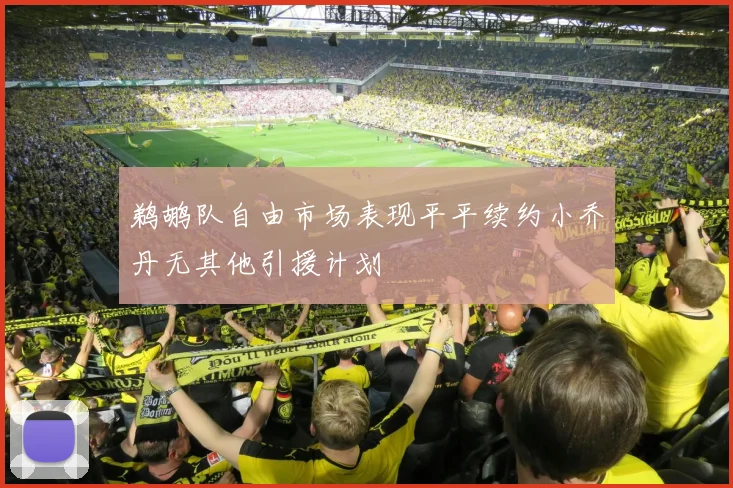 鹈鹕队自由市场表现平平续约小乔丹无其他引援计划